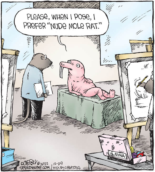 Speed Bump for Dec 29, 2022