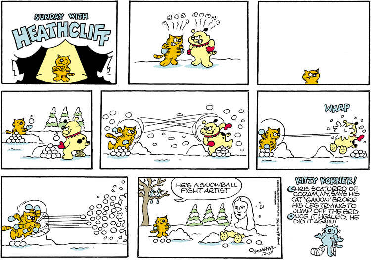 Heathcliff for Dec 29, 2024