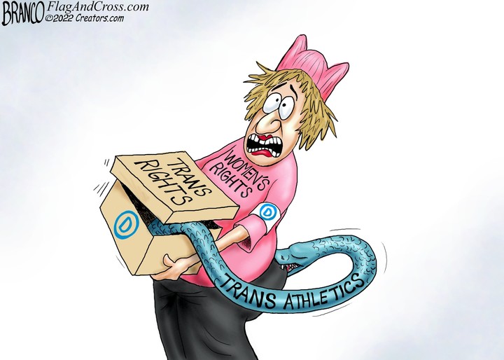 A.F. Branco for Jan 12, 2022