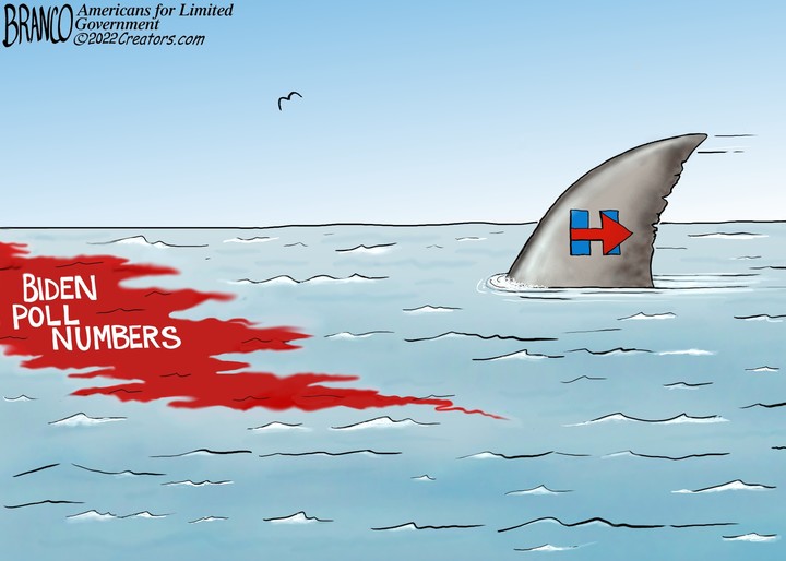 A.F. Branco for Feb 22, 2022