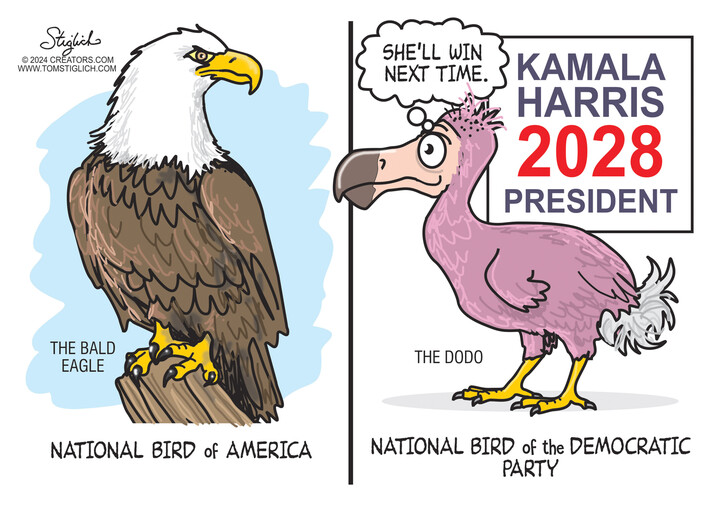 Tom Stiglich for Dec 26, 2024