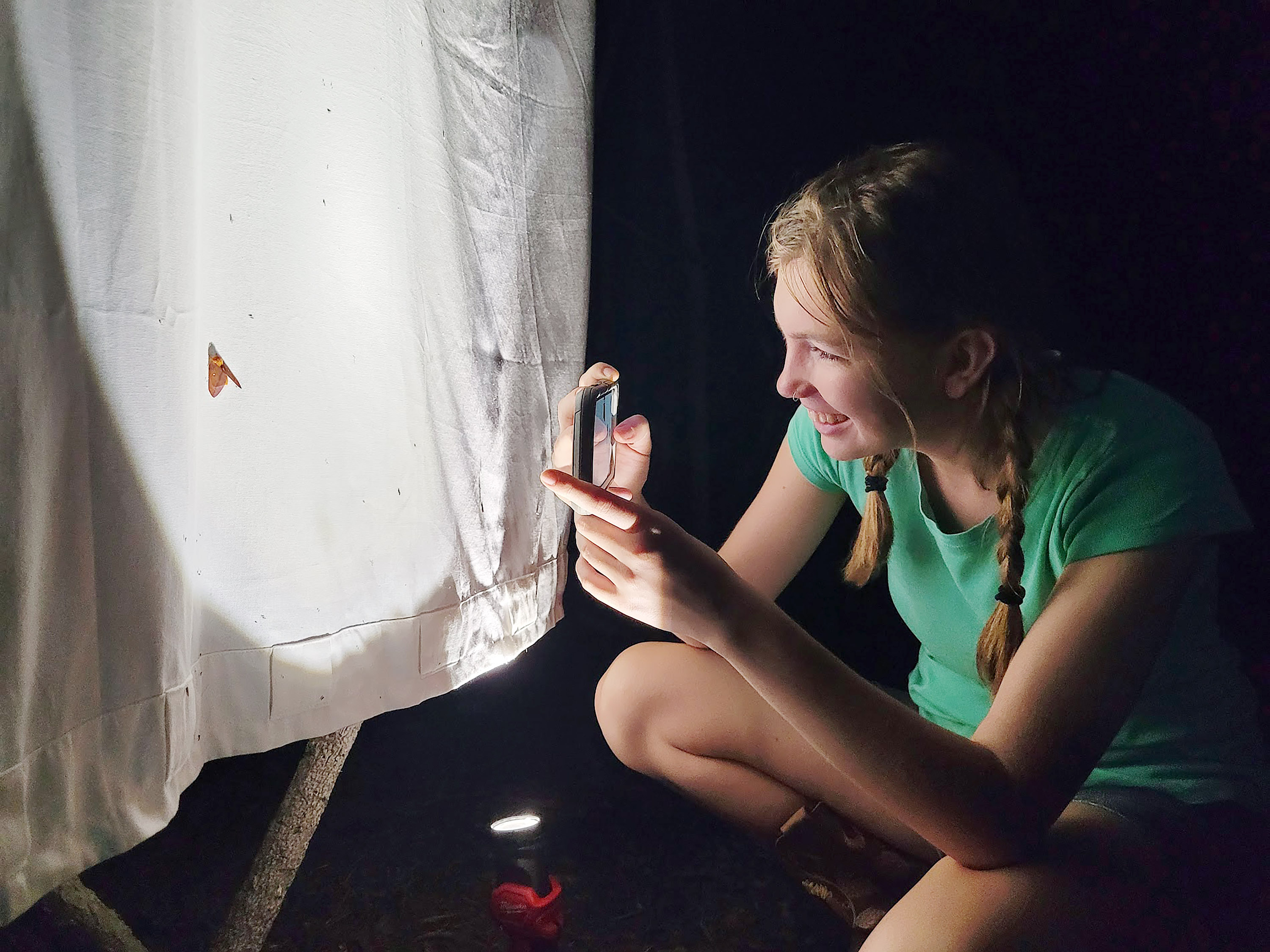 Nature at Night Photo 2