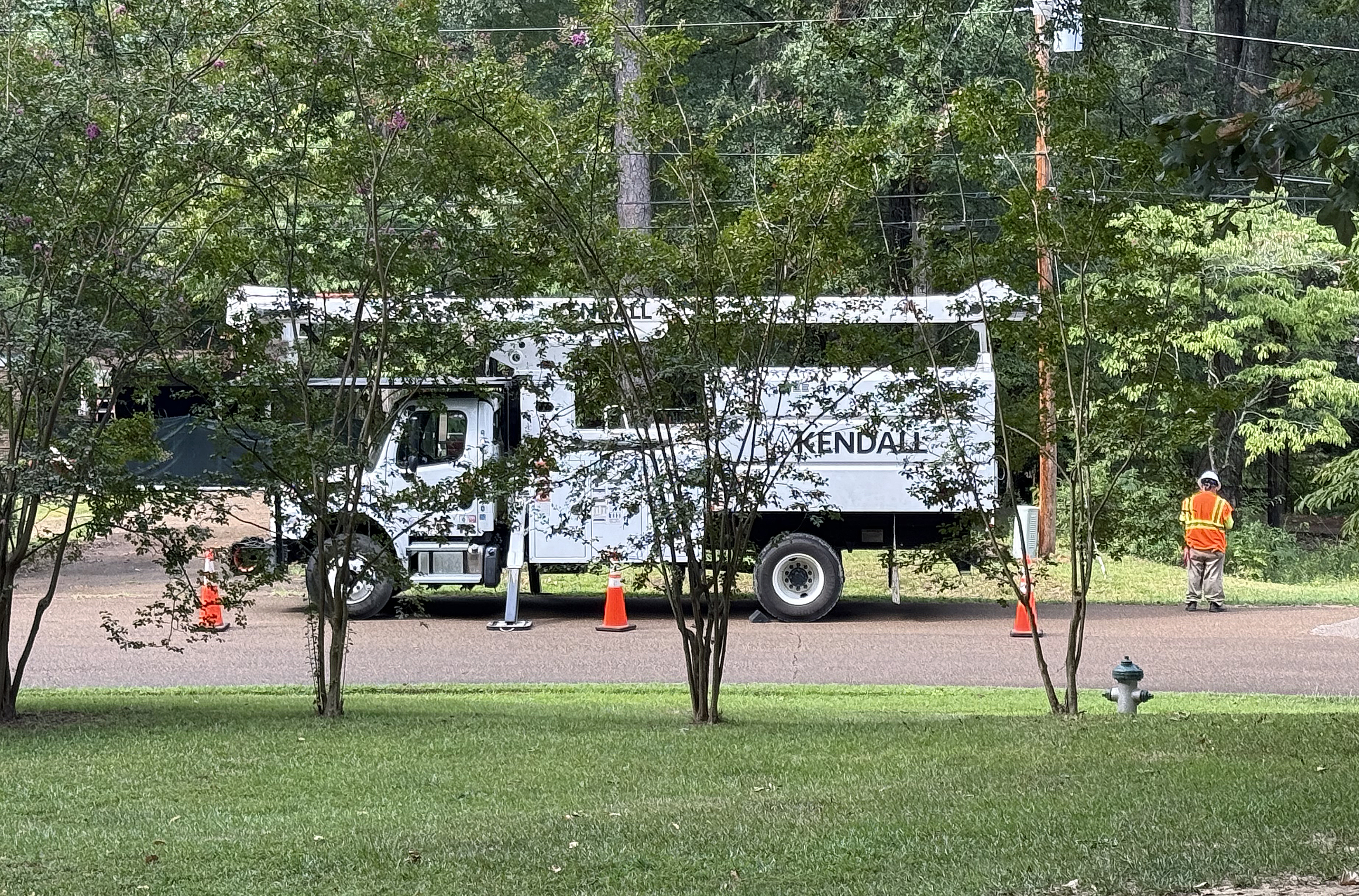 Tree Trimming Photo 2