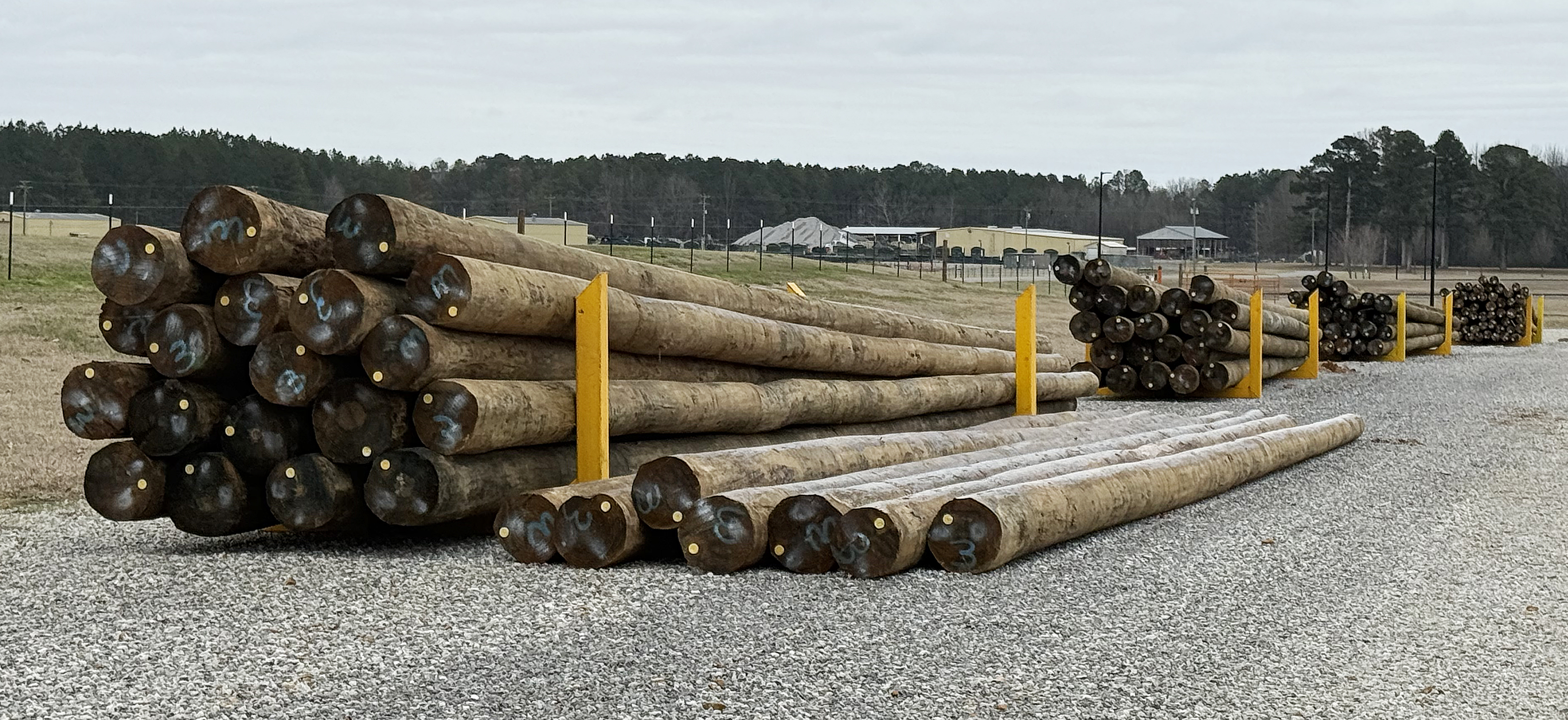 Utility Poles on Standby