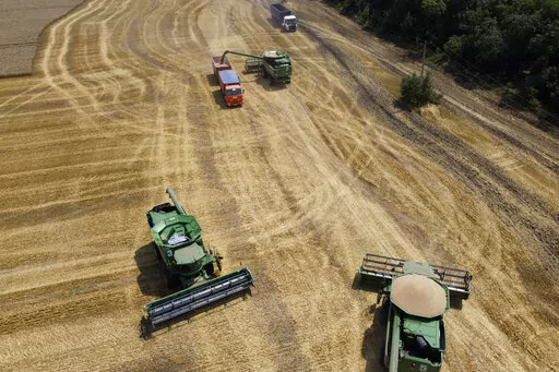 Farmers harvest with their combines in a wheat field near the village Tbilisskaya, Russia, July 21, 2021. The Russian tanks and missiles besieging Ukraine also are threatening the food supply and livelihoods of people in Europe, Africa and Asia who rely on the vast, fertile farmlands known as the “breadbasket of the world.” Russia and Ukraine combine for about a third of the world’s wheat and barley exports and provide large amounts of corn and cooking oils. (AP Photo/Vitaly Timkiv, File)