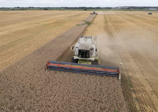 Harvesters collect wheat in the village of Zghurivka, Ukraine, on Aug. 9, 2022. Concerns are growing that Russia will not extend a U.N.-brokered deal that allows grain to flow from Ukraine to parts of the world struggling with hunger, with ships no longer heading to the war-torn country's Black Sea ports and food exports dwindling. (AP Photo/Efrem Lukatsky, File)