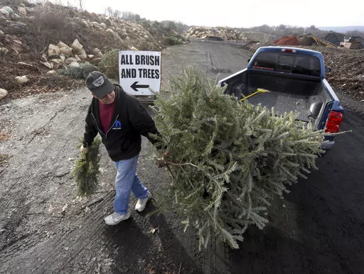 FILE- George Highhouse, of Scranton, brings his Christmas tree and a wreath to Lackawanna County Recycling in Dunmore, Pa., on Jan. 2, 2019. Discarded Christmas trees can be picked up curbside for recycling through regular trash-collection services or or dropped off at locations in various cities. The trees are often shredded for use as compost or mulch that is offered back to residents and non-profit groups free of charge for gardening and landscaping. (Jake Danna Stevens/The Times-Tribune via 