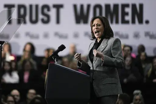 Vice President Kamala Harris speaks at the International Union of Painters and Allied Trades District Council 7, Monday, Jan. 22, 2024, in Big Bend, Wis. Harris is embracing her position as the Democrats' leading champion for abortion rights in this year's election. Harris visits Wisconsin on Monday for the first in a series of nationwide events focused on abortion, which remains politically potent almost two years since the Supreme Court overturned Roe v. Wade. (AP Photo/Morry Gash)