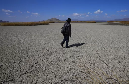 An Aymara man walks on the dry cracked bed of Lake Titicaca, in Huarina, Bolivia, Thursday, July 27, 2023. The lake's low water level is having a direct impact on the local flora and fauna and is affecting local communities that rely on the natural border between Peru and Bolivia for their livelihood. (AP Photo/Juan Karita)