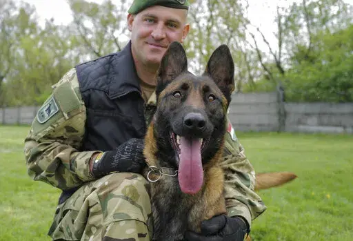 Sgt. 1st Class Balazs Nemeth and his bomb sniffer dog Logan are seen together at the garrison of Explosive Ordnance Disposal and Warship Regiment of the Hungarian Defense Forces in Budapest, Hungary, April 28, 2022. Logan, a two-year-old Belgian shepherd, has received a second chance after being rescued from abusive owners and recruited to serve in an elite military bomb squad. Logan is undergoing intensive training as an explosive detection dog for the Hungarian Defense Forces. (AP Photo/Bela S