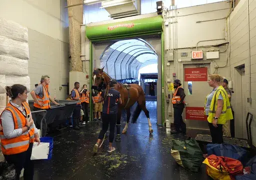 Hailey Burlock, groom for U.S. Olympic Eventing Team member Will Coleman, guides Off The Record to a cargo stall at The Ark at John F. Kennedy International Airport in New York, Wednesday, July 17, 2024. (AP Photo/Pamela Smith)