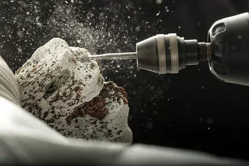 This photo provided by the University of Copenhagen in January 2024 shows the process of ancient DNA extraction at the Lundbeck Foundation GeoGenetics Center in Copenhagen. According to research published Wednesday, Jan. 10, 2024, in the journal Nature, ancient DNA helps explain why northern Europeans have a higher risk of multiple sclerosis than other ancestries: It’s a genetic legacy of horseback-riding cattle herders who swept into the region about 5,000 years ago. (Mikal Schlosser/Universi