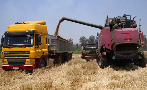 A combine harvester offloads wheat grain into a truck during a harvest at a farm in Bindura about 88 kilometres north east of the capital Harare, Monday, Oct, 10, 2022. Zimbabwe says it is on the brink of its biggest wheat harvest in history, thanks in large part to efforts to overcome food supply problems caused by the war in Ukraine. But bush fires and impending rains are threatening crops yet to be harvested. (AP Photo/Tsvangirayi Mukwazhi)
