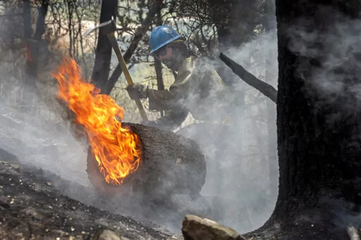 Carson Hot Shots Tyler Freeman works to keep a burning log from rolling down a slope, May 23, 2022, as he and his co-workers work on hot spots from the Calf Canyon/Hermits Peak Fire in the Carson National Forest west of Chacon, N.M. The U.S. Forest Service is acknowledging multiple miscalculations, inaccurate models and a lack of understanding of just how dry things are in the Southwest in a review of a planned burn that turned into the largest blaze in New Mexico's recorded history. The agency 