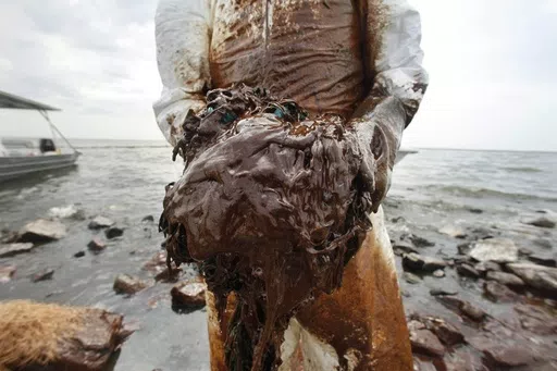 A cleanup worker picks up blobs of oil in absorbent snare on Queen Bess Island at the mouth of Barataria Bay near the Gulf of Mexico in Plaquemines Parish, La., June 4, 2010. (AP Photo/Gerald Herbert, File)
